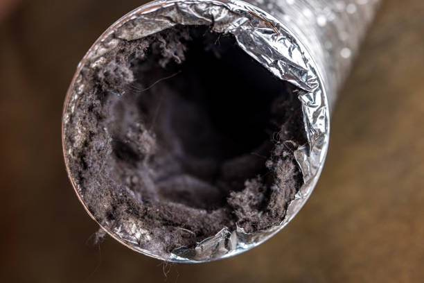 Best Emergency Air Duct Cleaning  in Pittsboro, IN