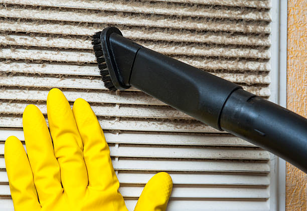 Best Professional Duct Cleaning Services  in Pittsboro, IN